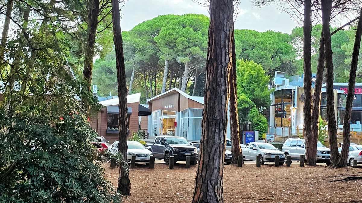 carilo centro